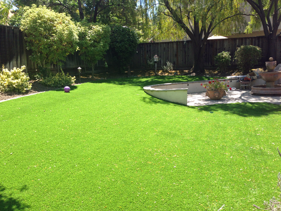 Artificial Turf Cactus Flat Arizona Landscape Photos Beautiful