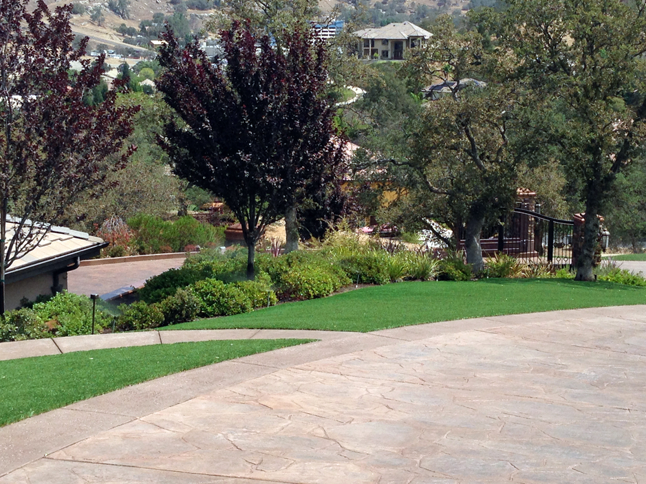 Artificial Turf Cost Carrizo Arizona Landscape Photos Front Yard