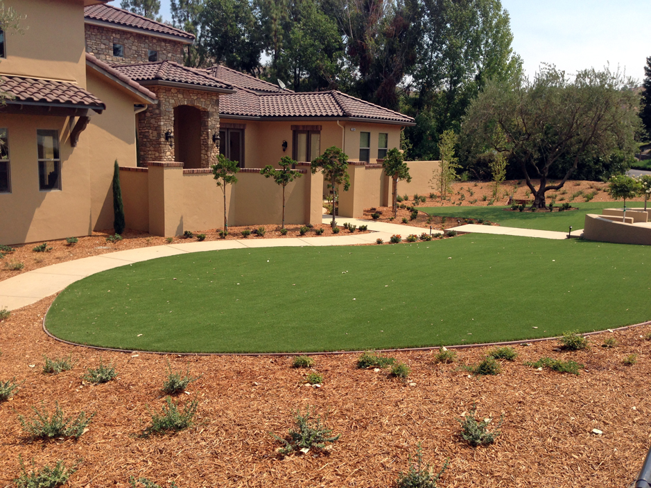 Artificial Turf Phoenix Arizona Home And Garden Front Yard Ideas