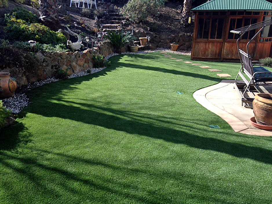 Artificial Turf Rye Arizona Rooftop Backyard Garden Ideas