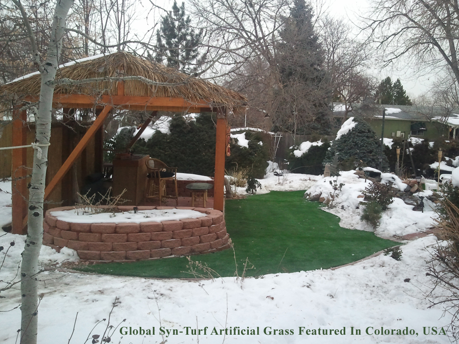 Faux Grass Corona De Tucson Arizona Landscape Design Backyard
