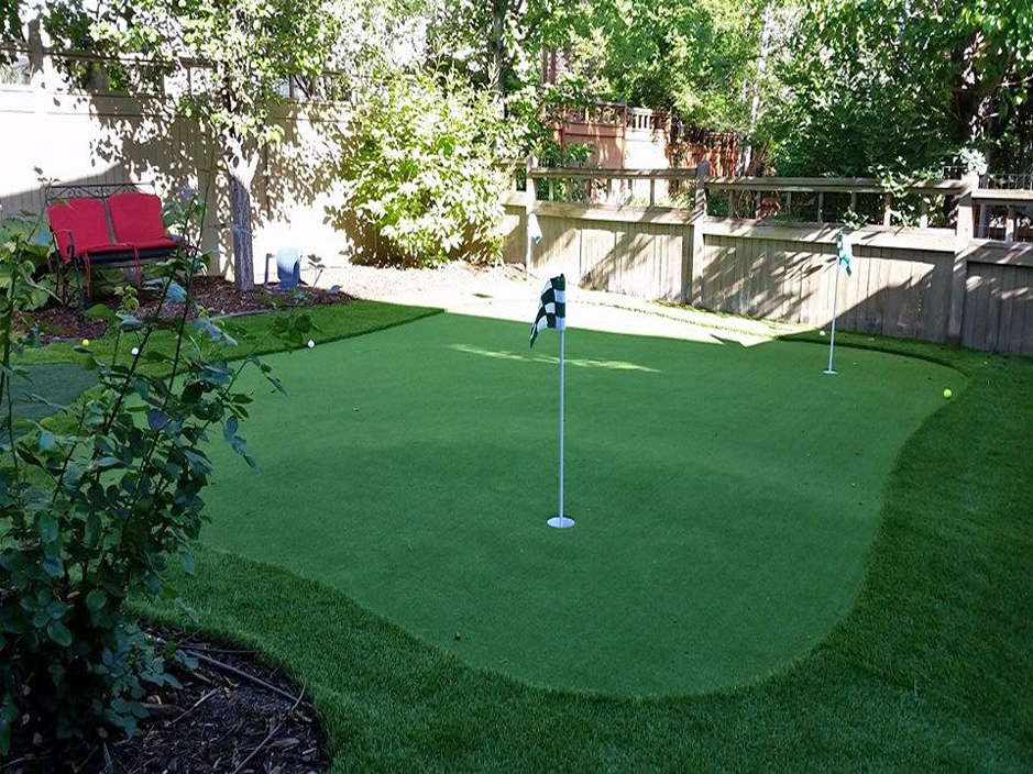 Grass Carpet Jakes Corner Arizona Lawn And Landscape Backyard