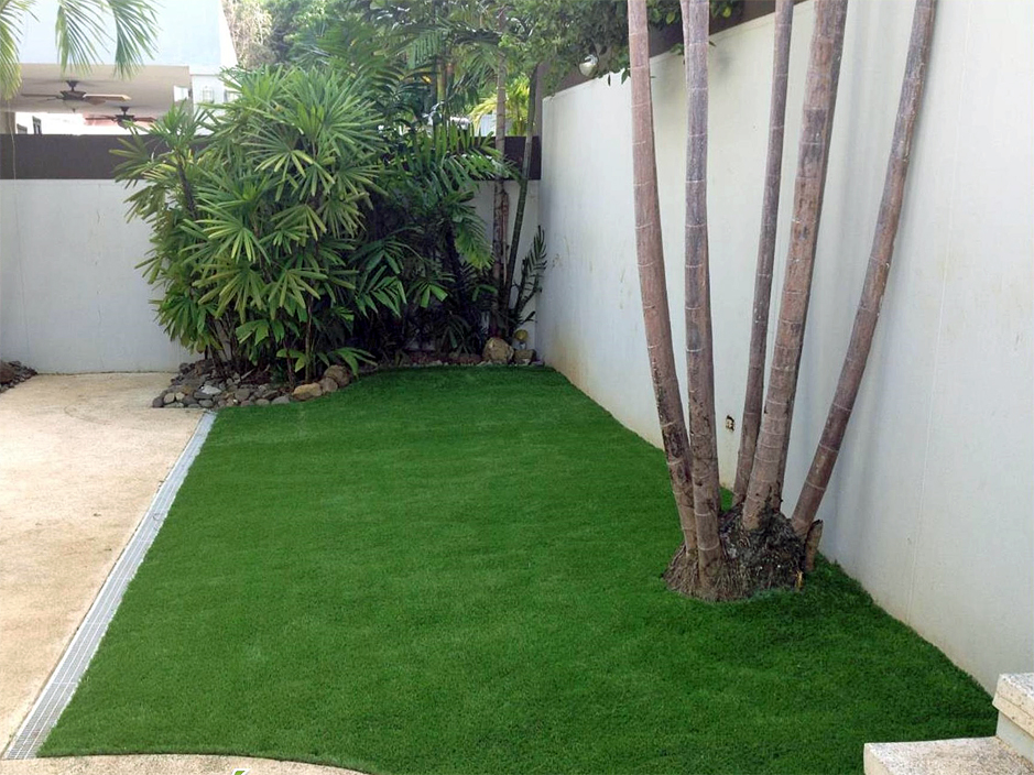 Synthetic Grass Cost Morenci Arizona Design Ideas Backyard