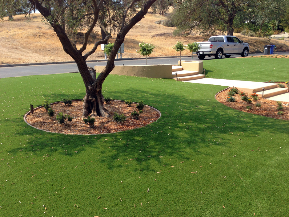 Turf Grass Dudleyville, Arizona Paver Patio, Front Yard Design