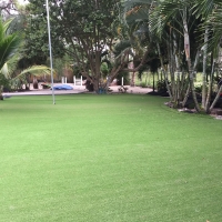 Artificial Grass Carpet Catalina Foothills, Arizona Landscape Design, Commercial Landscape