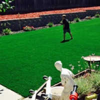 Artificial Grass Carpet Sierra Vista, Arizona Roof Top, Backyard Makeover