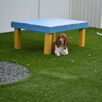 Artificial Grass Installation Flowing Wells, Arizona Dog Grass, Grass for Dogs