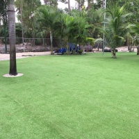 Artificial Grass Installation Littletown, Arizona Landscape Ideas, Commercial Landscape