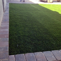 Artificial Turf Tonto Basin, Arizona Dog Park, Small Front Yard Landscaping