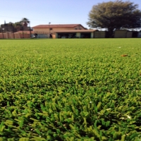 Fake Turf Arizona City, Arizona Landscaping