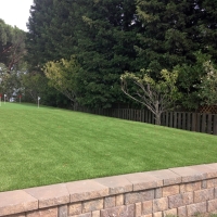 Faux Grass Arlington, Arizona Landscaping Business, Backyard