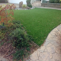 Faux Grass Miracle Valley, Arizona Cat Grass, Backyard Landscape Ideas