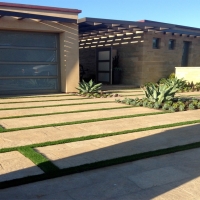 Grass Carpet Tubac, Arizona Rooftop, Front Yard Ideas