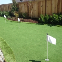 Grass Turf New River, Arizona Putting Green Carpet, Backyard