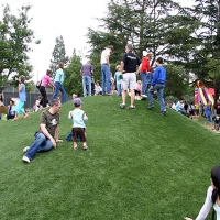 Green Lawn Peridot, Arizona Lawns, Parks