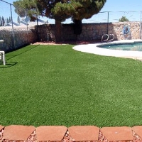 Lawn Services Vaiva Vo, Arizona Watch Dogs, Kids Swimming Pools