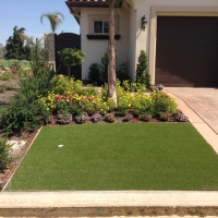 Plastic Grass Campo Bonito, Arizona Landscape Photos, Front Yard Landscaping Ideas