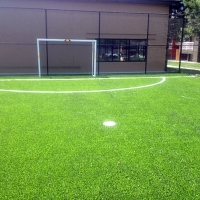 Synthetic Grass Cost Campo Bonito, Arizona Garden Ideas