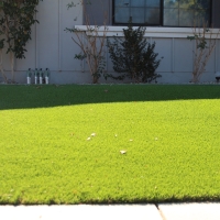 Synthetic Grass Cost Prescott, Arizona Lawns, Landscaping Ideas For Front Yard