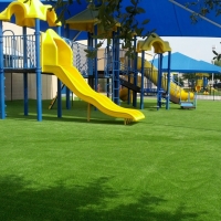 Synthetic Lawn Alpine, Arizona Backyard Playground, Commercial Landscape