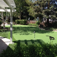 Synthetic Lawn LeChee, Arizona Garden Ideas