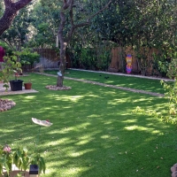 Synthetic Lawn Picacho, Arizona Lawn And Garden, Backyard Landscaping Ideas
