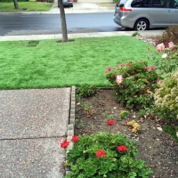 Synthetic Turf Bylas, Arizona Rooftop, Landscaping Ideas For Front Yard