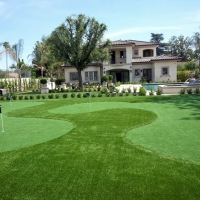 Synthetic Turf Kearny, Arizona Putting Green, Landscaping Ideas For Front Yard