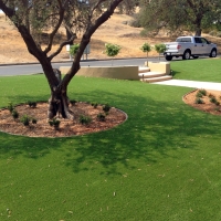 Turf Grass Dudleyville, Arizona Paver Patio, Front Yard Design
