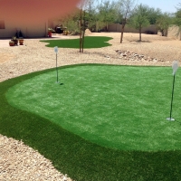 Turf Grass Fort Apache, Arizona Golf Green, Backyard Garden Ideas