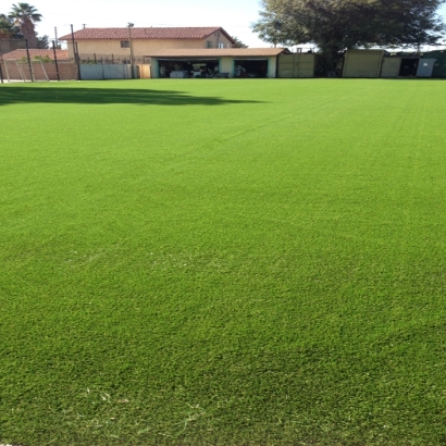 Artificial Grass Benson, Arizona Landscaping Business, Parks