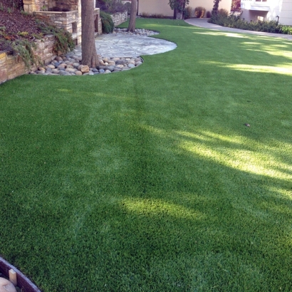 Artificial Grass Carpet Prescott Valley, Arizona Dogs, Backyard Ideas