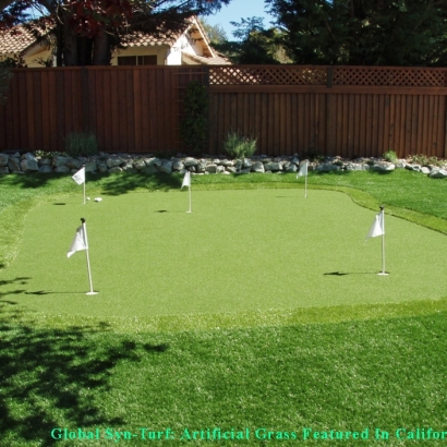 Artificial Grass Carpet Tanque Verde, Arizona Putting Green Flags, Small Backyard Ideas