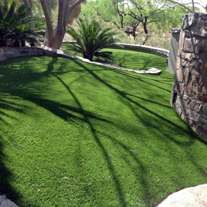 Artificial Grass Carpet Tonto Village, Arizona Landscaping