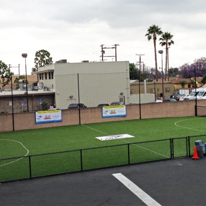 Artificial Grass Installation Sells, Arizona High School Sports, Commercial Landscape