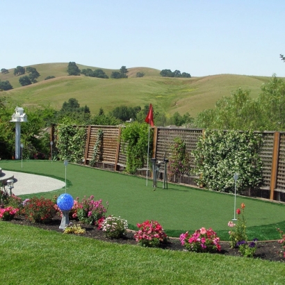 Artificial Grass Queen Valley, Arizona Putting Green Carpet, Small Backyard Ideas