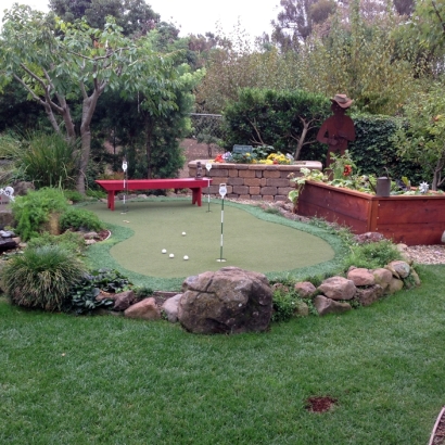 Artificial Turf Cornville, Arizona Gardeners, Backyard Landscape Ideas