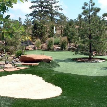 Artificial Turf Cost Morenci, Arizona Putting Green, Backyard