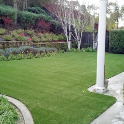 Artificial Turf Cost Summit, Arizona Pictures Of Dogs, Backyard