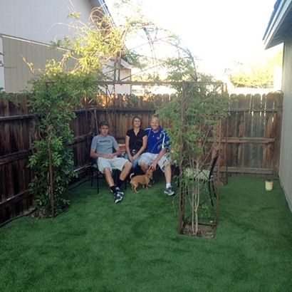 Artificial Turf Cost Vail, Arizona Dog Running, Backyard Makeover