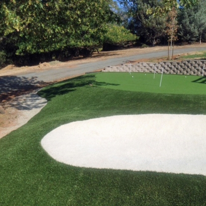 Artificial Turf Eloy, Arizona Best Indoor Putting Green, Front Yard