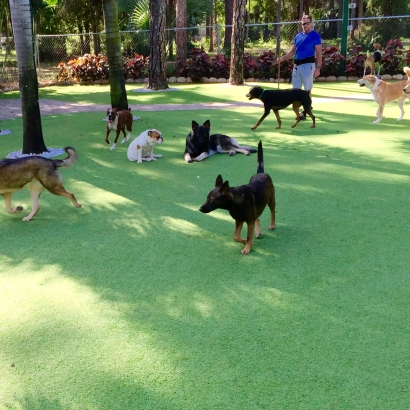 Artificial Turf Installation Sahuarita, Arizona Dog Parks, Dogs