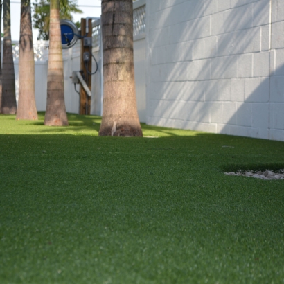 Artificial Turf Munds Park, Arizona Lawn And Landscape, Commercial Landscape