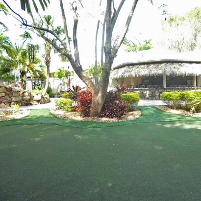 Artificial Turf Sacaton, Arizona Landscaping Business, Commercial Landscape
