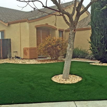 Best Artificial Grass Camp Verde, Arizona Landscape Design, Front Yard Design