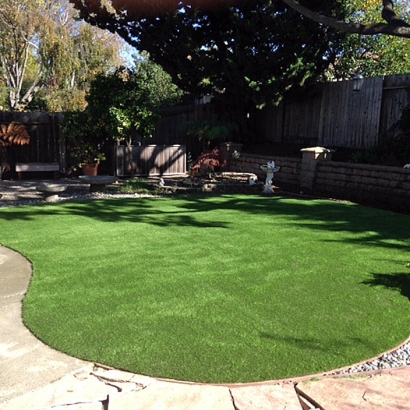 Best Artificial Grass Christopher Creek, Arizona Rooftop, Backyard Landscaping