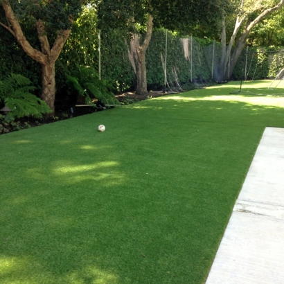 Best Artificial Grass Christopher Creek, Arizona Landscape Photos