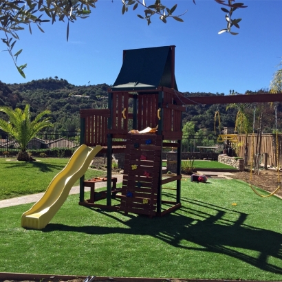 Best Artificial Grass Douglas, Arizona Landscaping