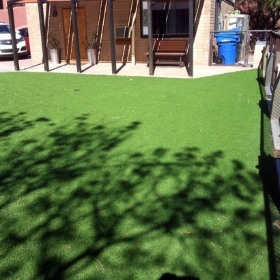 Best Artificial Grass Tonopah, Arizona Landscape Design, Backyard Landscape Ideas