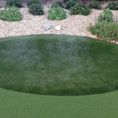 Fake Grass Carpet Aztec, Arizona Design Ideas